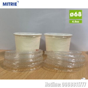 Nắp bằng phi 68 nhựa PP