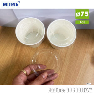 Nắp bằng phi 75 nhựa PP